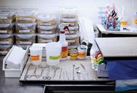 Various lab tools and containers organized on a workstation.